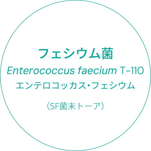 フェシウム菌　Enterococcus faecium T-110　エンテロコッカス・フェシウム（SF菌末トーア）