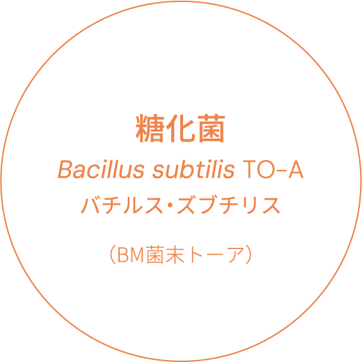 糖化菌　Bacillus subtilis TO-A　バチルス・ズブチリス（BM菌末トーア）