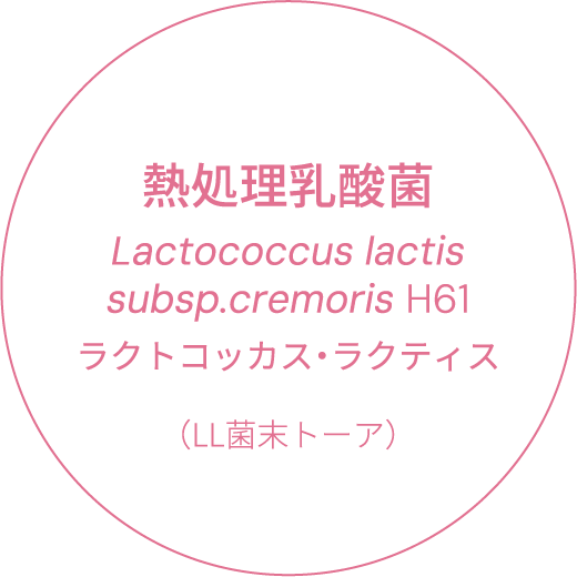 熱処理乳酸菌　Lactococcus lactis　subsp.cremoris H61　ラクトコッカス・ラクティス（LL菌末トーア）